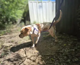 Jax