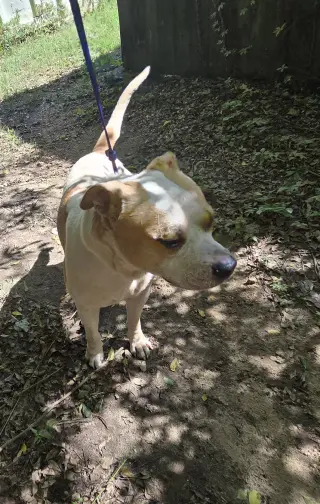 Jax