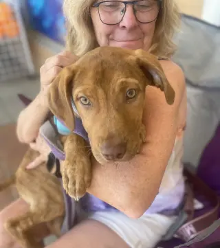 Gus