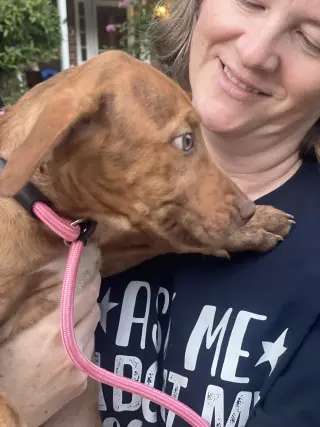 Gus