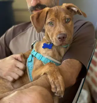 Gus