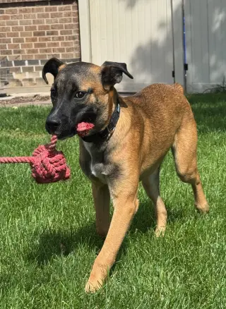 River Roo