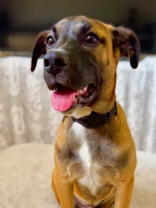 River Roo