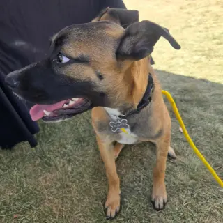 River Roo