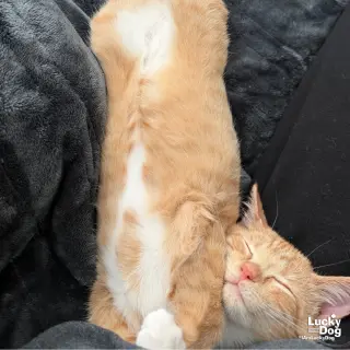 Rusty
