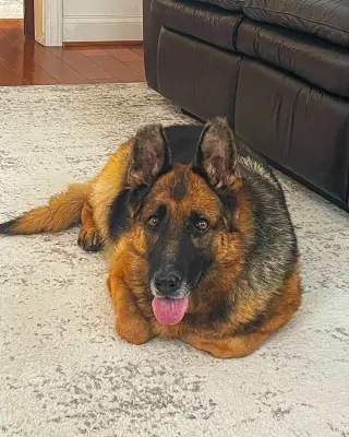 Sadie