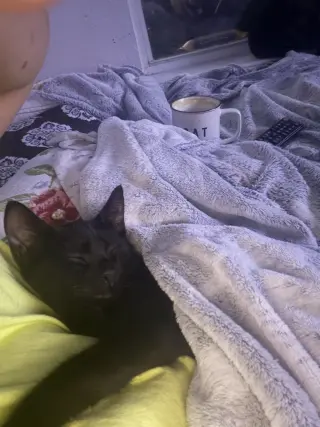 Suki