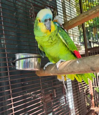 Kita
