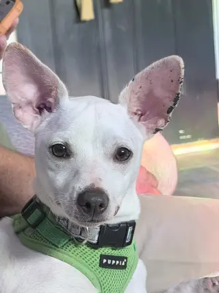 Malcolm