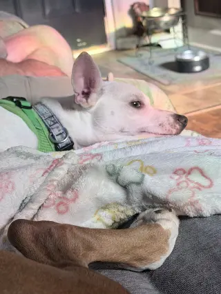 Malcolm
