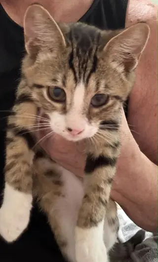 Oliver