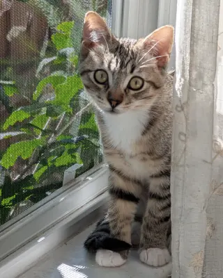 Daisy Skye (bonded w/ Lily Pad)