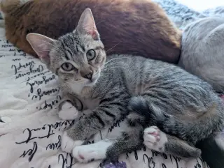 Daisy Skye (bonded w/ Lily Pad)