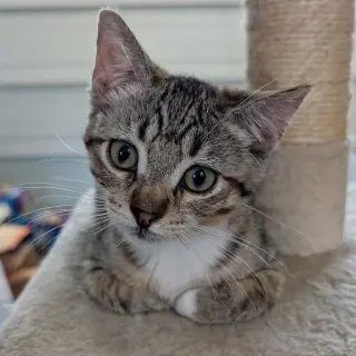 Daisy Skye (bonded w/ Lily Pad)