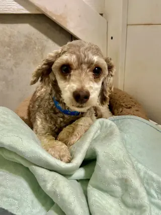Arlo Jul 26