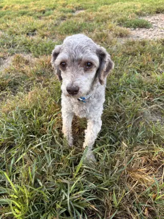 Arlo Jul 26