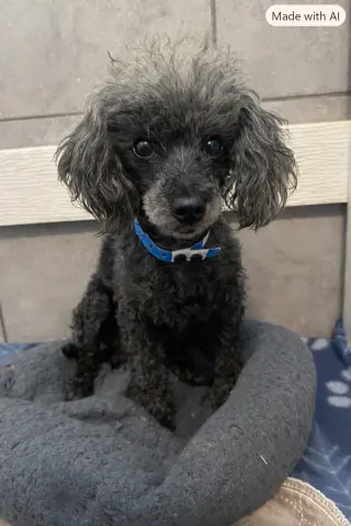Frodo Jul 26