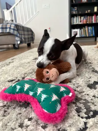 Audrey