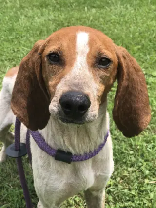 Sadie