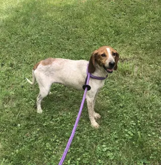 Sadie