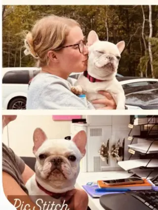 Romie