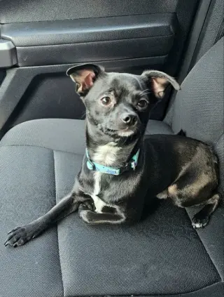Sammie