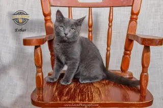 Esther