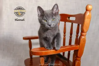 Hannah