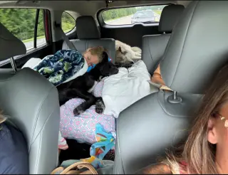 Axle - Adoption Pending