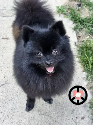 Kai