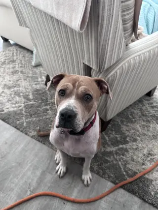 LUNA