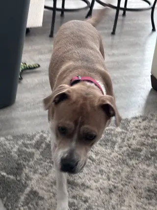 LUNA