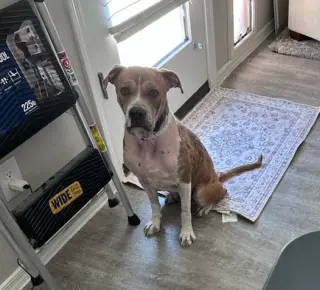 LUNA