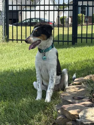 Millie