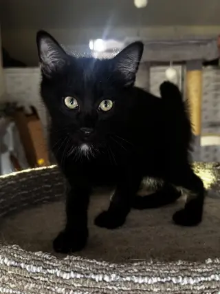 Prince Phillip