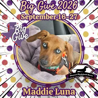Maddie Luna