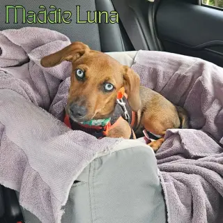 Maddie Luna