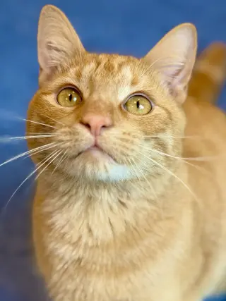 Sebastian