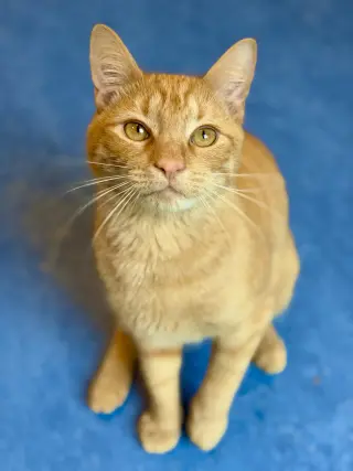 Sebastian