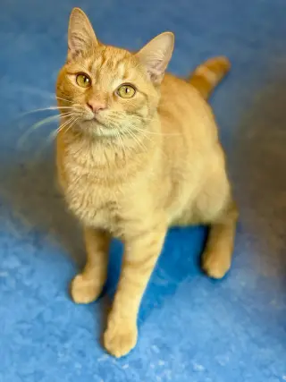 Sebastian