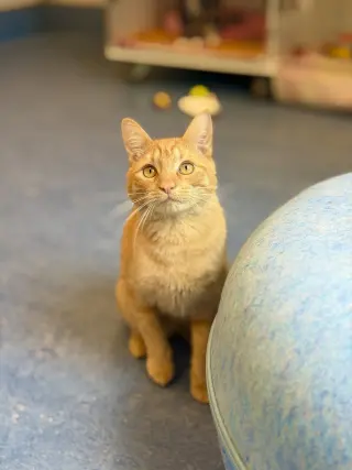 Sebastian