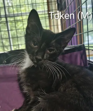 Token