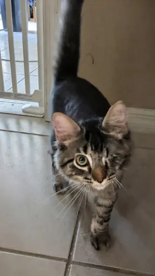 Zeus