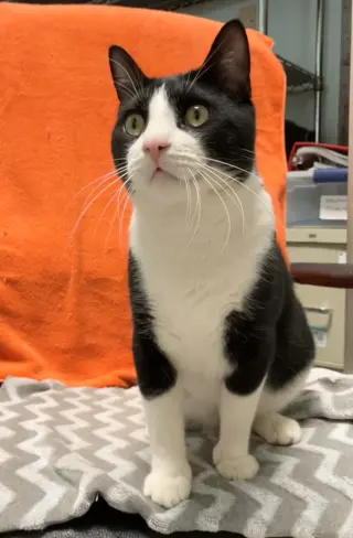 Parker