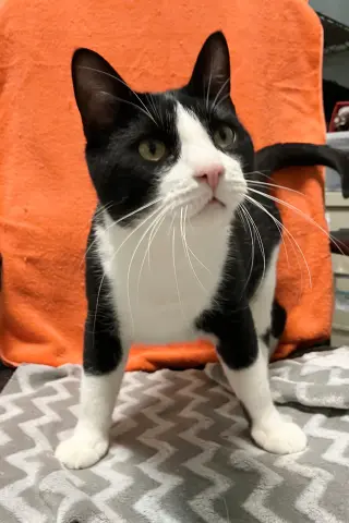 Parker
