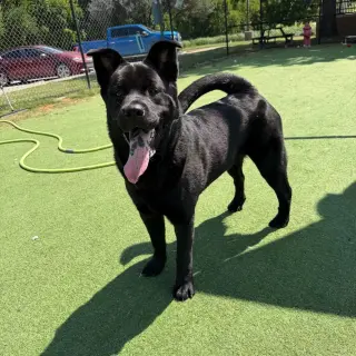 Osita