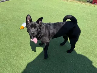 Osita
