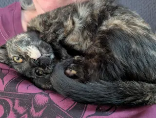 Betty Girl