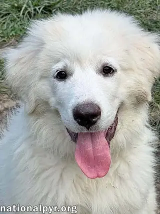 Elsa in OH - Confident, Loving & Joyful!