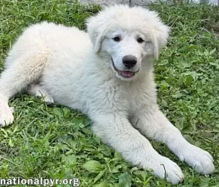 Elsa in OH - Confident, Loving & Joyful!